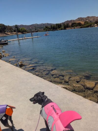 Castaic Lake State Recreation Area - Castaic, CA