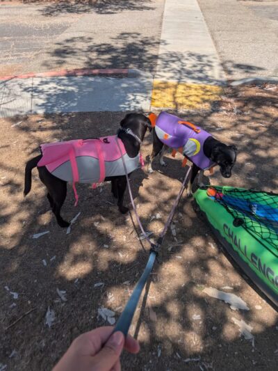 Castaic Lake State Recreation Area - Castaic, CA