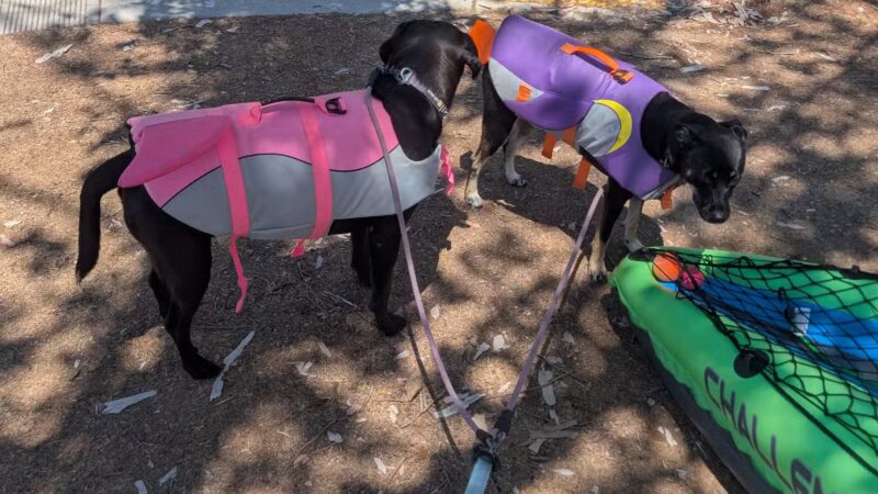 Castaic Lake State Recreation Area - Castaic, CA