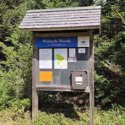 Witherle Woods - Castine, ME