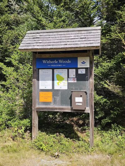 Witherle Woods - Castine, ME