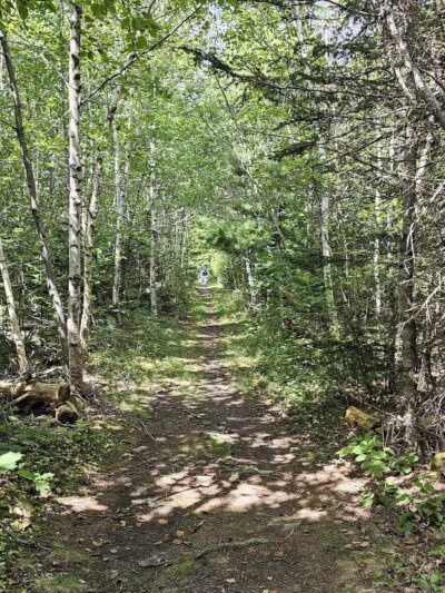 Witherle Woods - Castine, ME