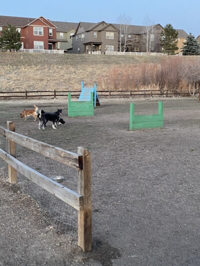 Wiggly Field Dog Park - Castle Rock, CO
