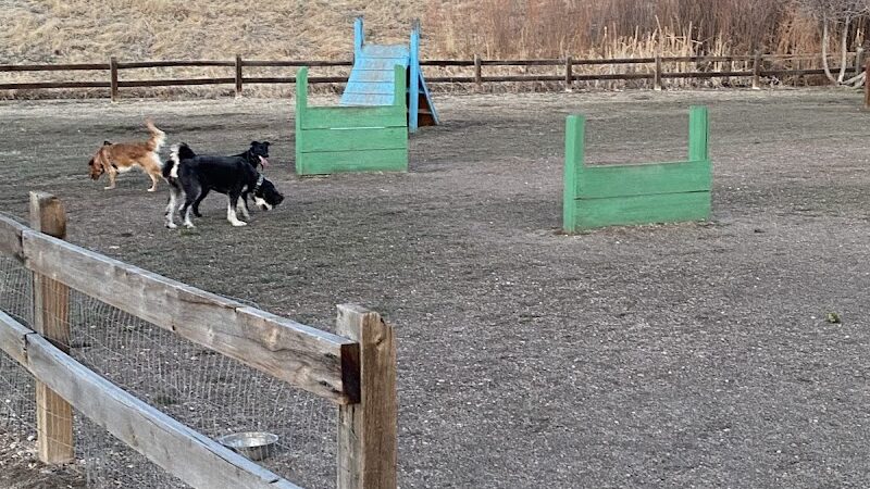 Wiggly Field Dog Park - Castle Rock, CO
