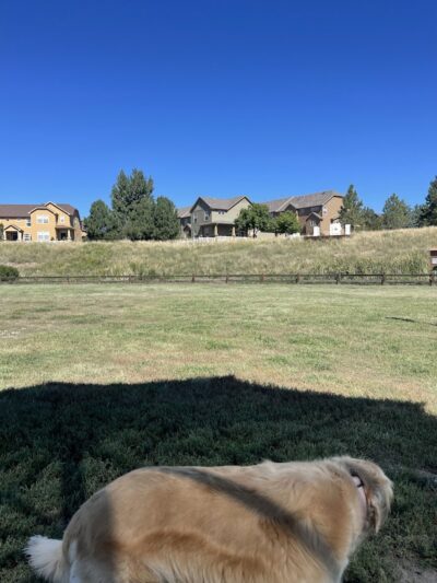 Wiggly Field Dog Park - Castle Rock, CO