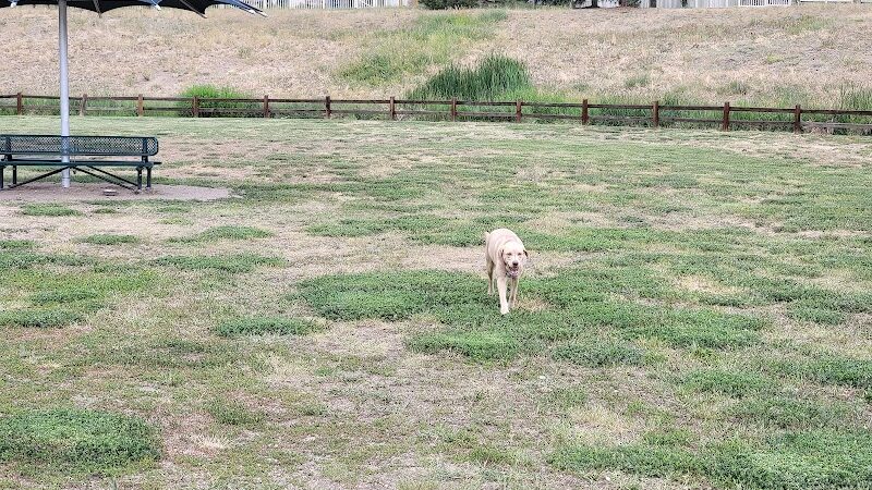 Wiggly Field Dog Park - Castle Rock, CO