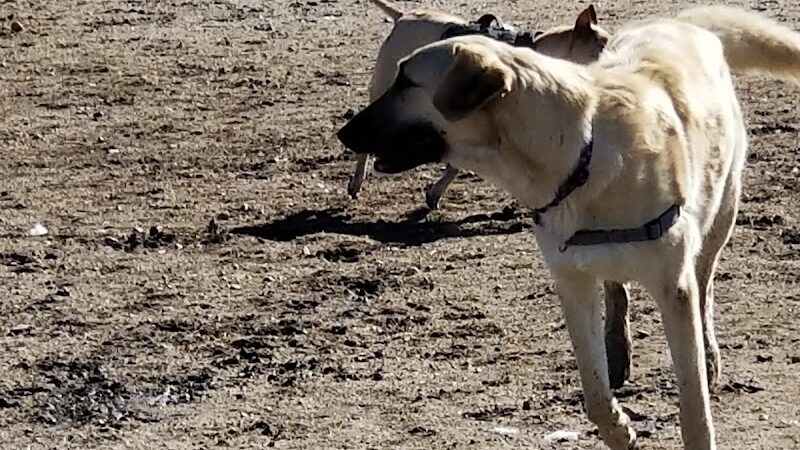 Wiggly Field Dog Park - Castle Rock, CO