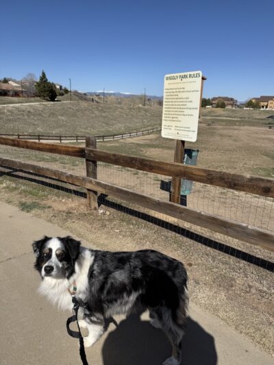 Wiggly Field Dog Park - Castle Rock, CO