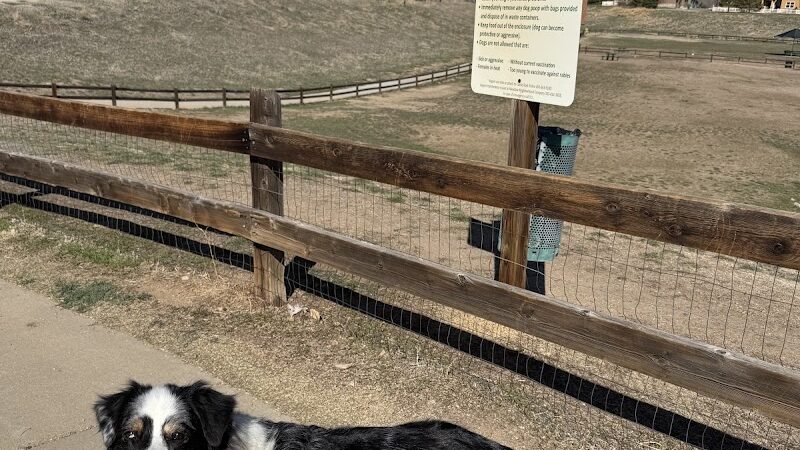 Wiggly Field Dog Park - Castle Rock, CO