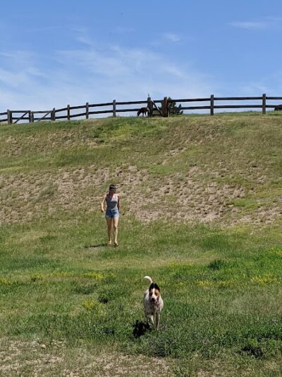 Wiggly Field Dog Park - Castle Rock, CO