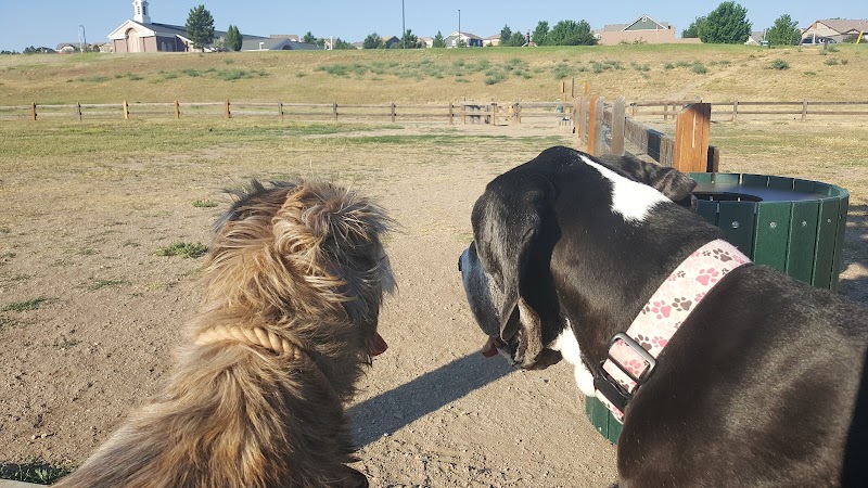 Wiggly Field Dog Park - Castle Rock, CO