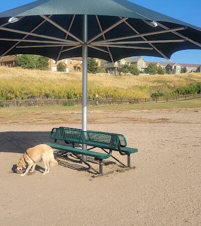 Wiggly Field Dog Park - Castle Rock, CO