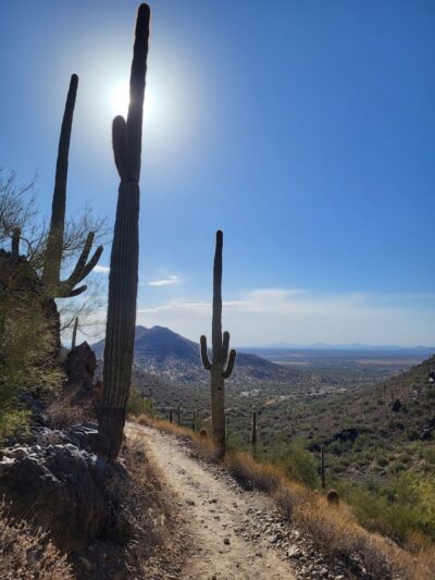 Cave Creek Regional Park - Cave Creek, AZ
