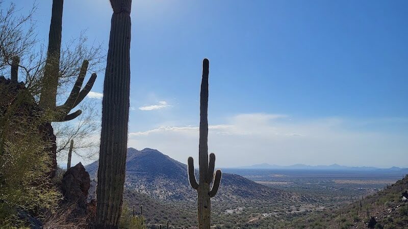 Cave Creek Regional Park - Cave Creek, AZ