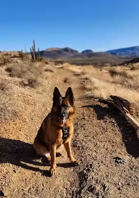 Cave Creek Regional Park - Cave Creek, AZ