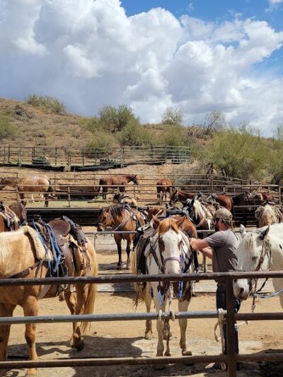 Cave Creek Regional Park - Cave Creek, AZ