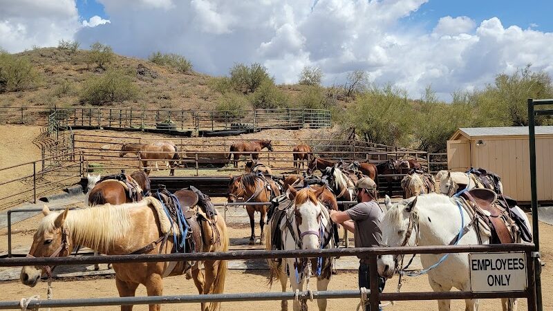 Cave Creek Regional Park - Cave Creek, AZ