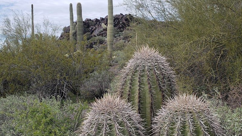 Cave Creek Regional Park - Cave Creek, AZ