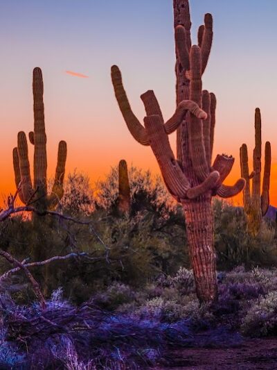 Cave Creek Regional Park Campgrounds - Cave Creek, AZ