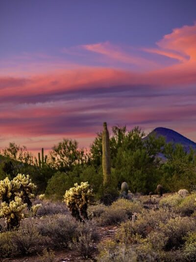 Cave Creek Regional Park Campgrounds - Cave Creek, AZ