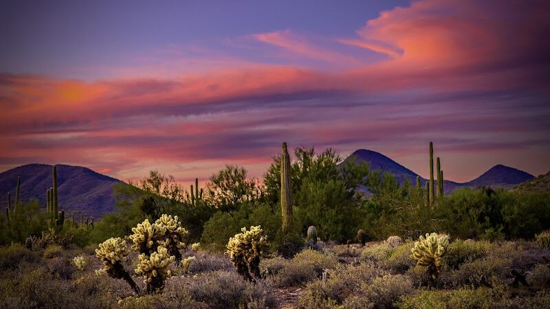 Cave Creek Regional Park Campgrounds - Cave Creek, AZ