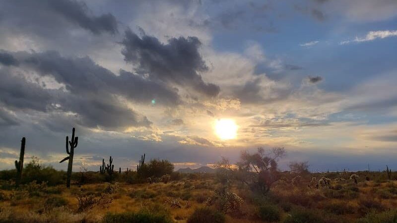 Cave Creek Regional Park Campgrounds - Cave Creek, AZ