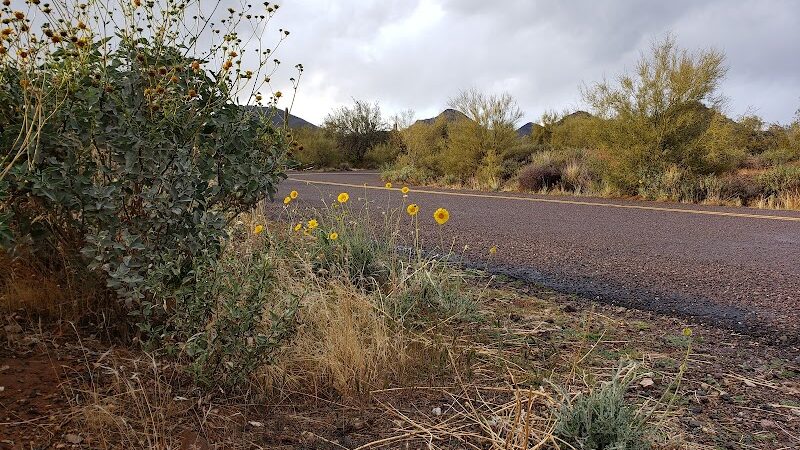 Cave Creek Regional Park Campgrounds - Cave Creek, AZ