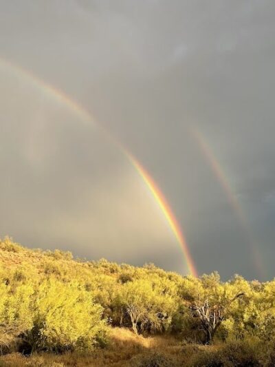 Cave Creek Regional Park Campgrounds - Cave Creek, AZ