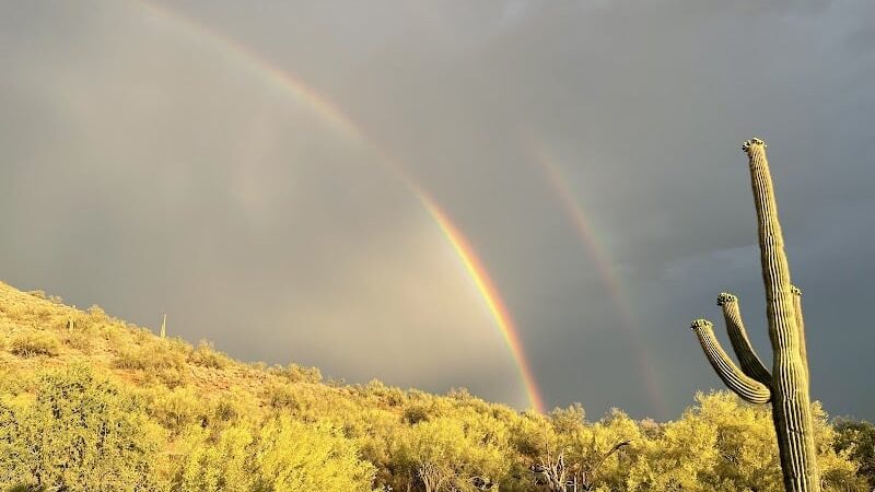 Cave Creek Regional Park Campgrounds - Cave Creek, AZ