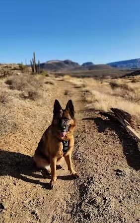 Cave Creek Regional Park - Cave Creek, AZ