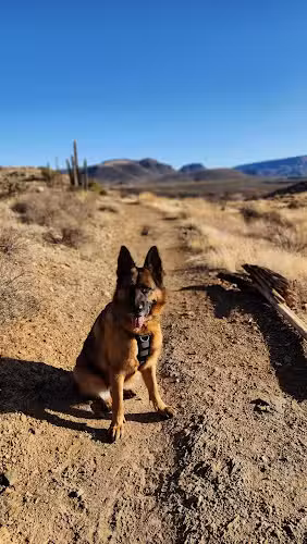 Cave Creek Regional Park - Cave Creek, AZ