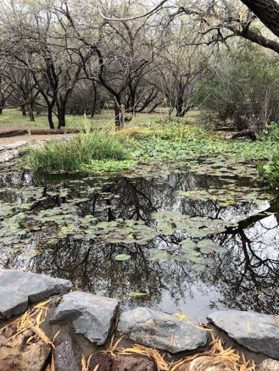 Desert Awareness Park - Cave Creek, AZ