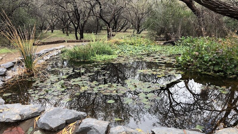 Desert Awareness Park - Cave Creek, AZ
