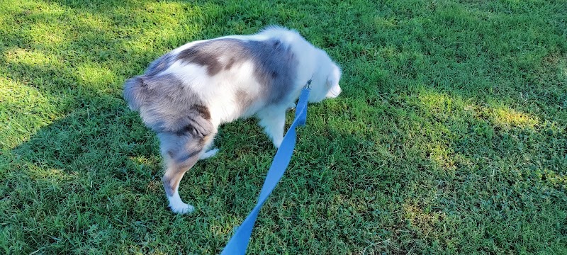 Desert Broom Park - Cave Creek, AZ