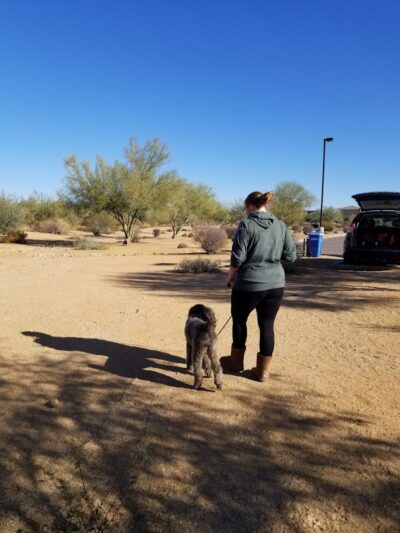Desert Broom Park - Cave Creek, AZ