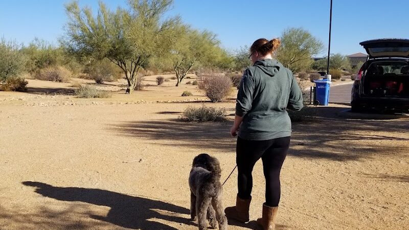 Desert Broom Park - Cave Creek, AZ
