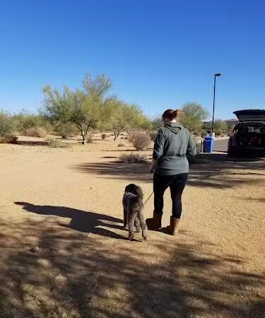 Desert Broom Park - Cave Creek, AZ