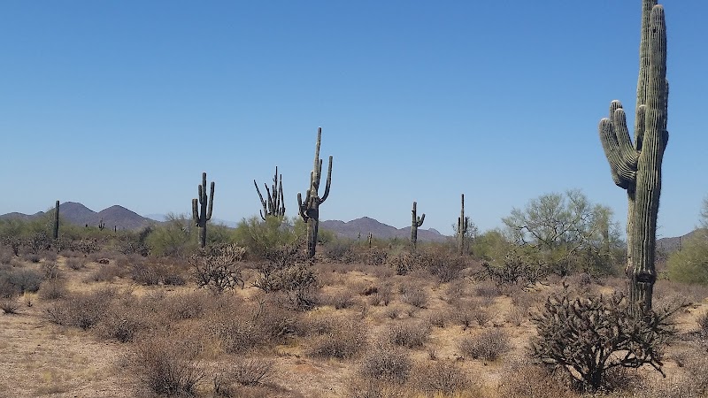 Desert Willow Park - Cave Creek, AZ