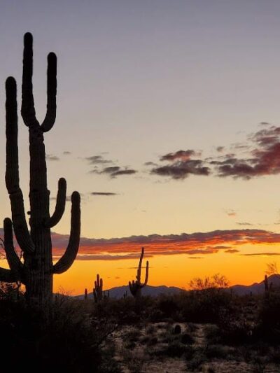 Desert Willow Park - Cave Creek, AZ