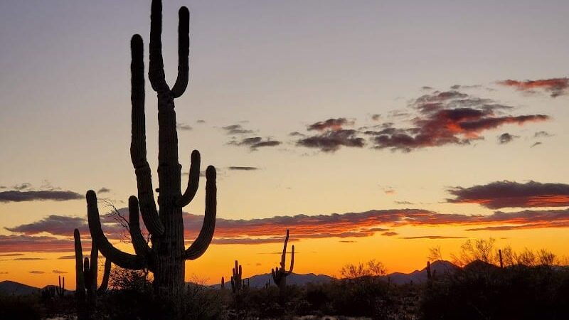 Desert Willow Park - Cave Creek, AZ