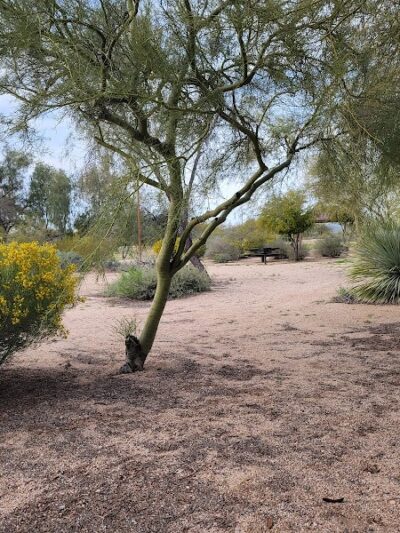 Desert Willow Park - Cave Creek, AZ