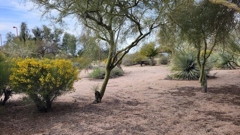 Desert Willow Park - Cave Creek, AZ
