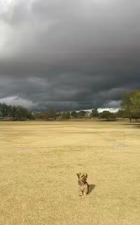 Desert Willow Park - Cave Creek, AZ
