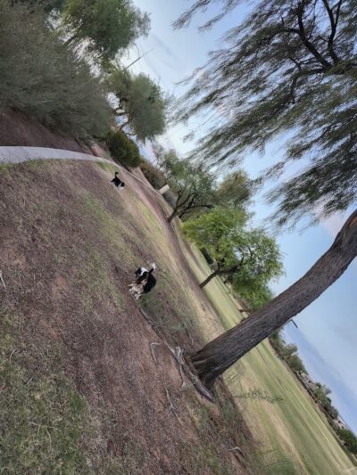 Desert Willow Playground - Cave Creek, AZ