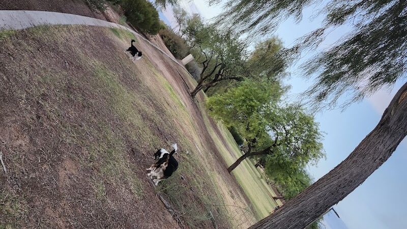 Desert Willow Playground - Cave Creek, AZ
