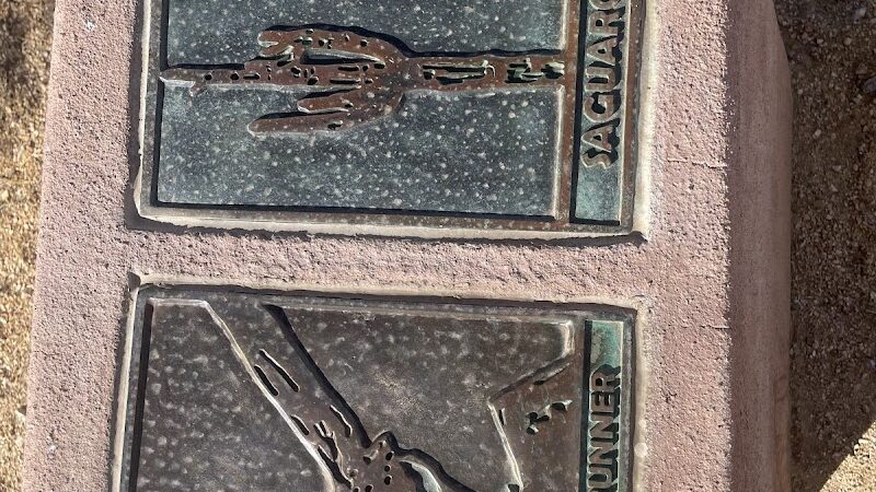 Dove Valley Park - Cave Creek, AZ