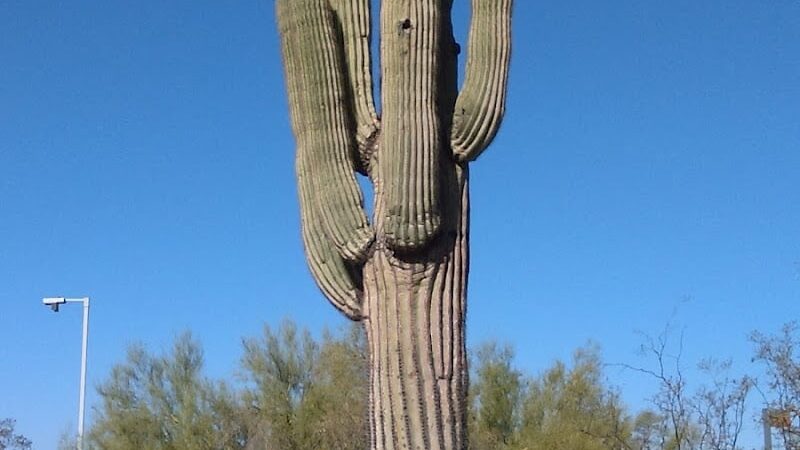 Dove Valley Park - Cave Creek, AZ