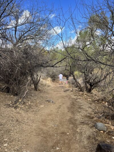 Dragonfly Trail - Cave Creek, AZ