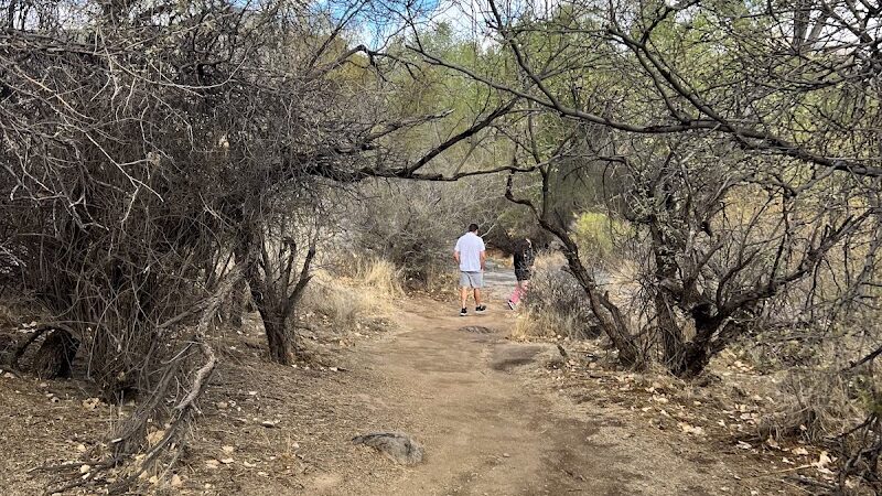 Dragonfly Trail - Cave Creek, AZ