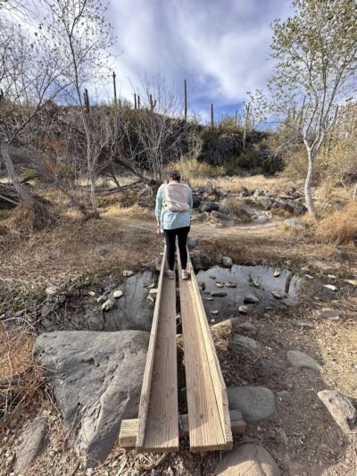 Dragonfly Trail - Cave Creek, AZ